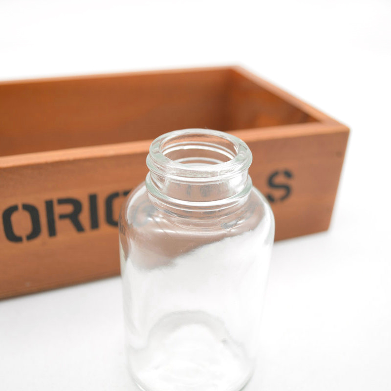 100ml 120ml clear/frosted capsule glass bottle with screw cap