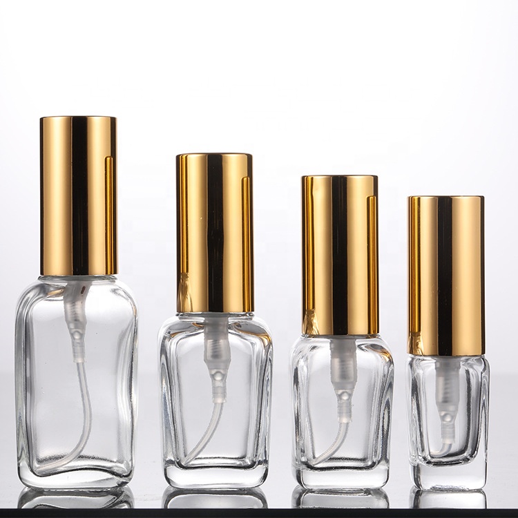 10ml 20ml 30ml 50ml100ml personal care square clear glass essential oil glass bottle with Pipette Droppers