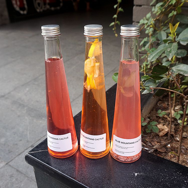 16 Oz French Square Glass Drinking Water Cold Pressed Plastic Juice Bottle