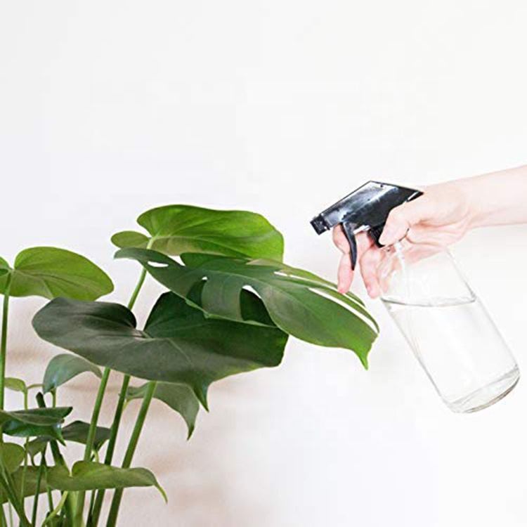 16 oz Clear Glass Spray Bottles Mist Plant Custom Spray Bottles
