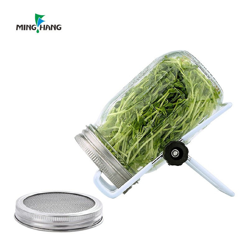 16 oz clear round mason decoration glass bottle for germination or plant cultivation