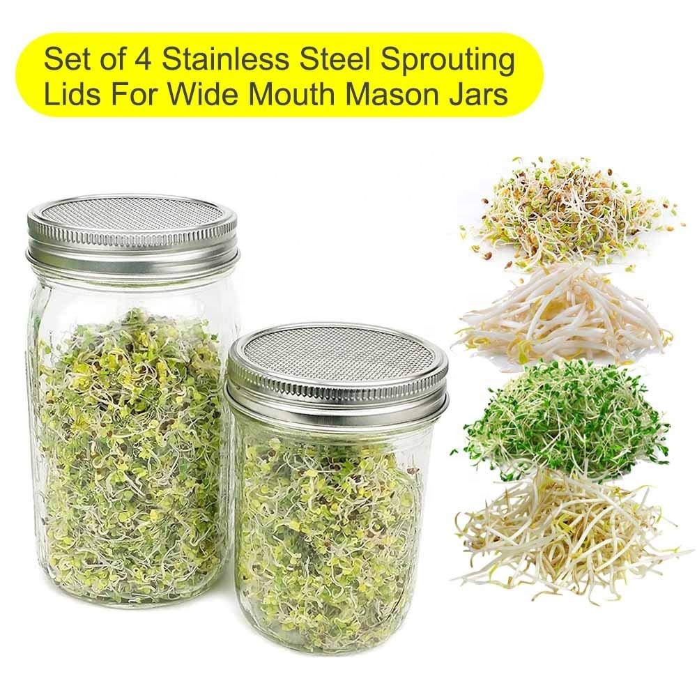 16oz 480ml regular mouth Sprout Glass Mason Jar with metal Lid