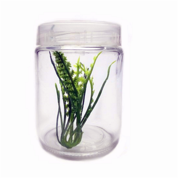 250ml Plant tissue culture glass jar with plastic lid