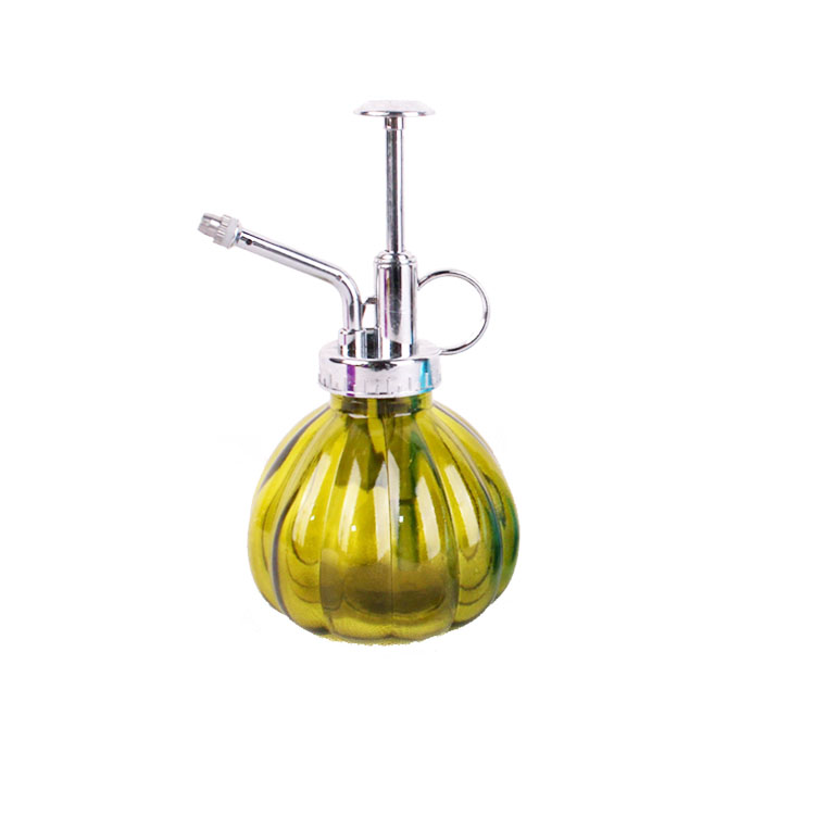 250ml Vintage Style Pump Top Glass Sprayer Water Mister Irrigated Plant Glass Watering Can Pot