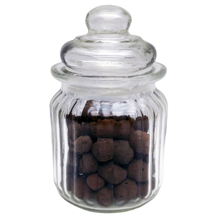 250ml clear glass jar with glass lid for storing tea candy nut