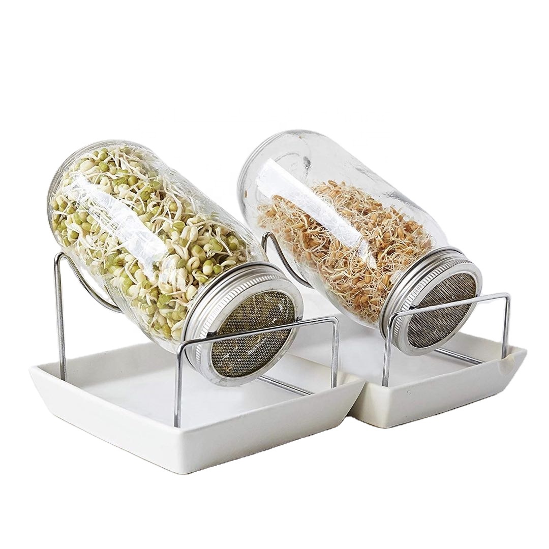 32oz Wide Mouth Mason Sprouting Jar with Stainless Steel Sprouting Lid and Metal Stand