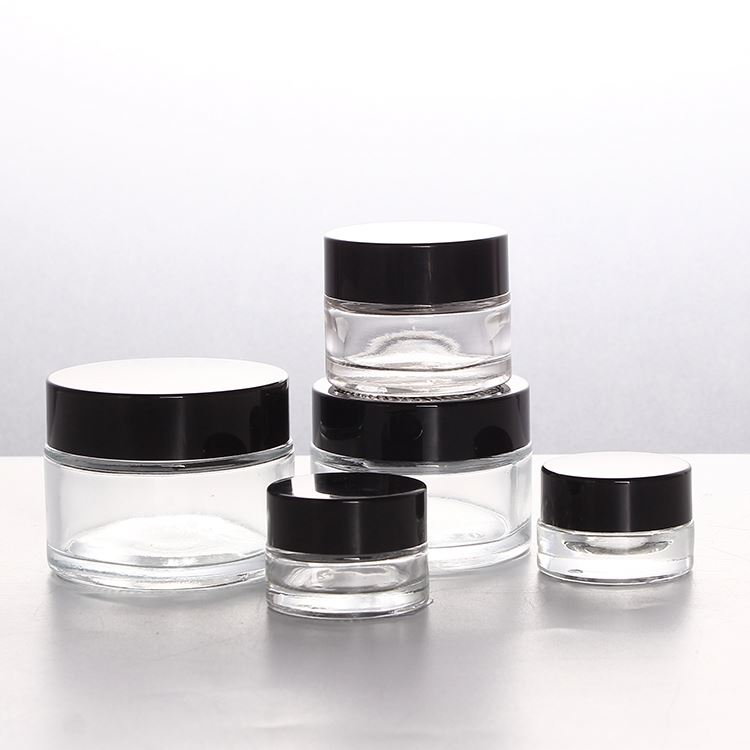 3g 5g 15g 30g 50g Frosted Glass Jar Cosmetic Jars with ABS Cap
