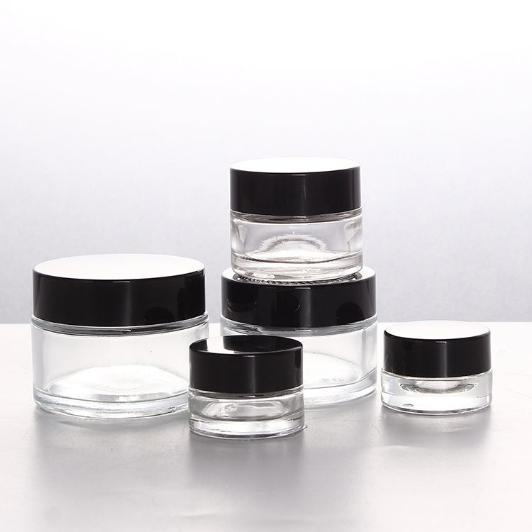 3g 5g 15g 30g 50g Frosted Glass Jar Cosmetic Jars with ABS Cap