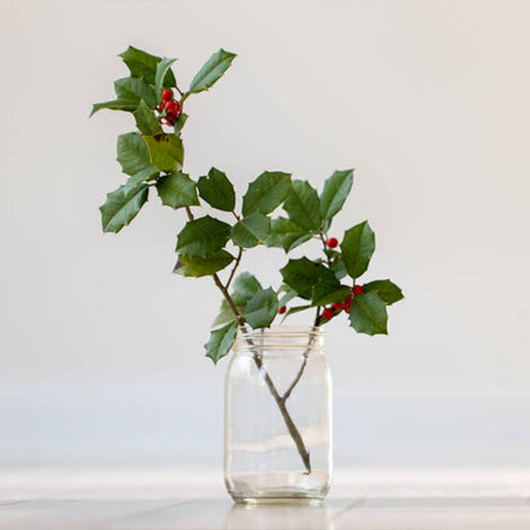 4Oz 8Oz Clear Jam Jelly Food Glass Mason Jar With Lid