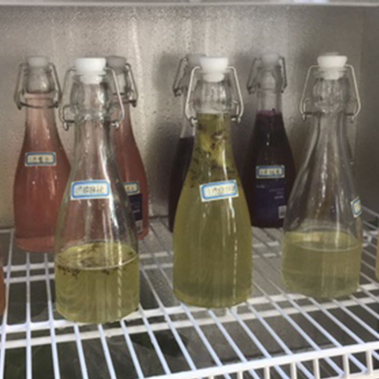 500ml Clear glass 16oz /25oz / 34oz kombucha swing top beer bottle 2019 hot sale