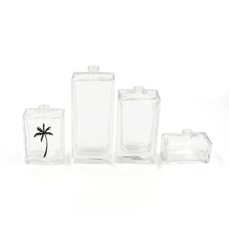 55ml 110ml Various Size Empty Glass Bottle Perfume