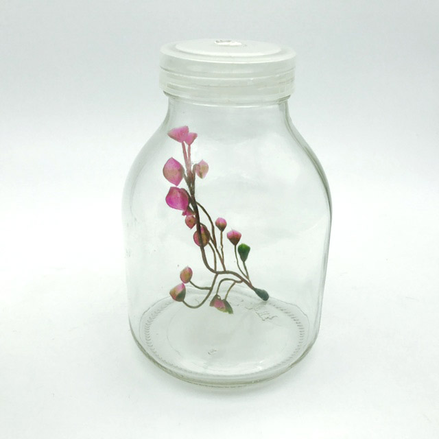 650ml tissue culture glass bottle mushroom cultivation bottle with plastic cap