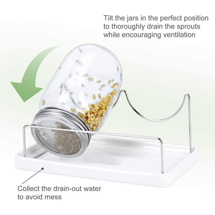 86mm Glass Mason Seed Sprouting Jar Kit with SS Stands and Ceramic Trays