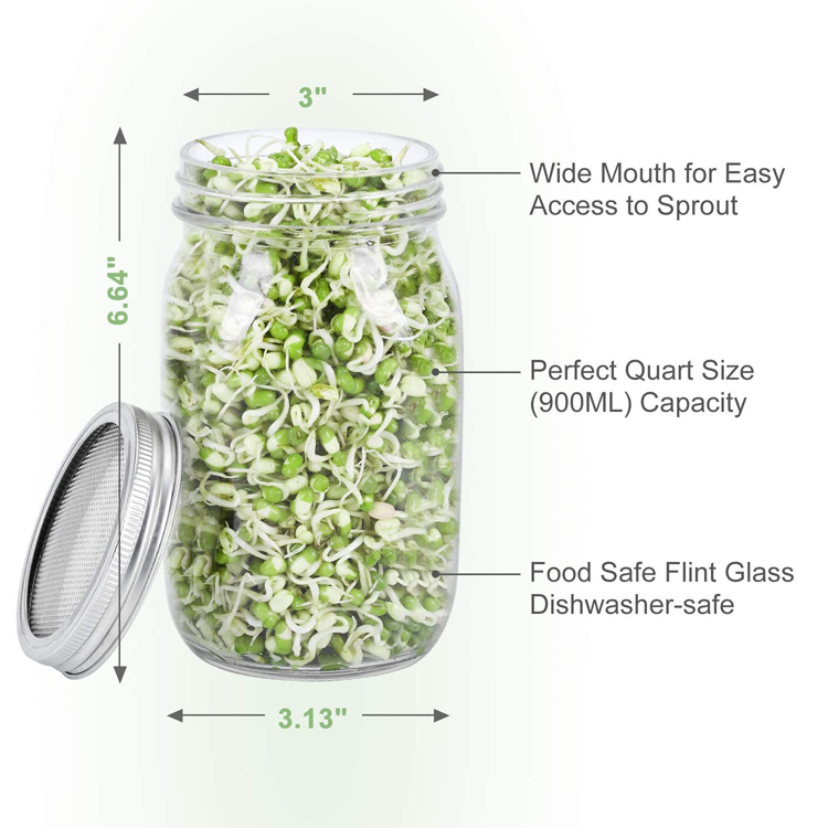 86mm Glass Seed Sprouting Jar Kit with SS Stands and Ceramic Trays