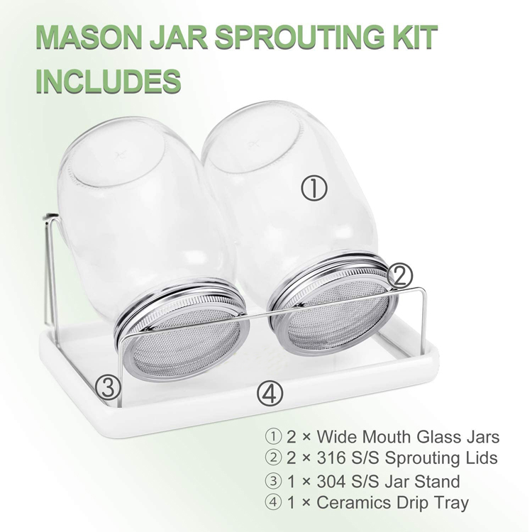 86mm Glass Seed Sprouting Jar Kit with SS Stands and Ceramic Trays