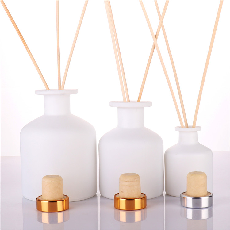BOYE Unique Home Decoration Fragrance Reed Diffuser Empty Frosted Glass Bottles