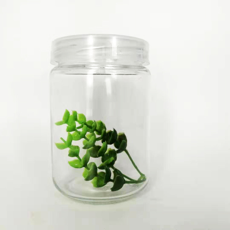 Breathable wholesale custom plant wide mouth 240ml tissue culture glass bottle