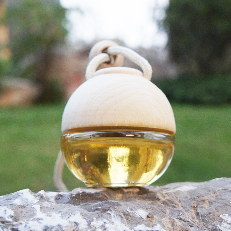 Car Diffuser Glass Bottle with Hanging String Car Decorative Clear Glass Perfume Oil Bottle
