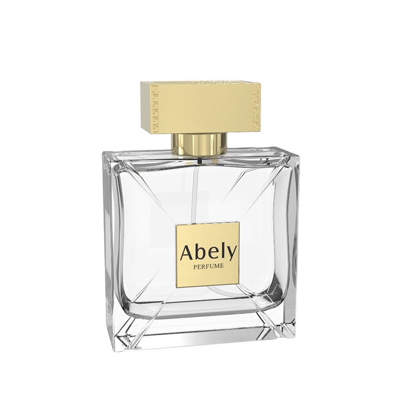China Custom Spray 50ml 100ml Luxury Perfume Bottle Square Shape Empty Perfume Bottles For Sale