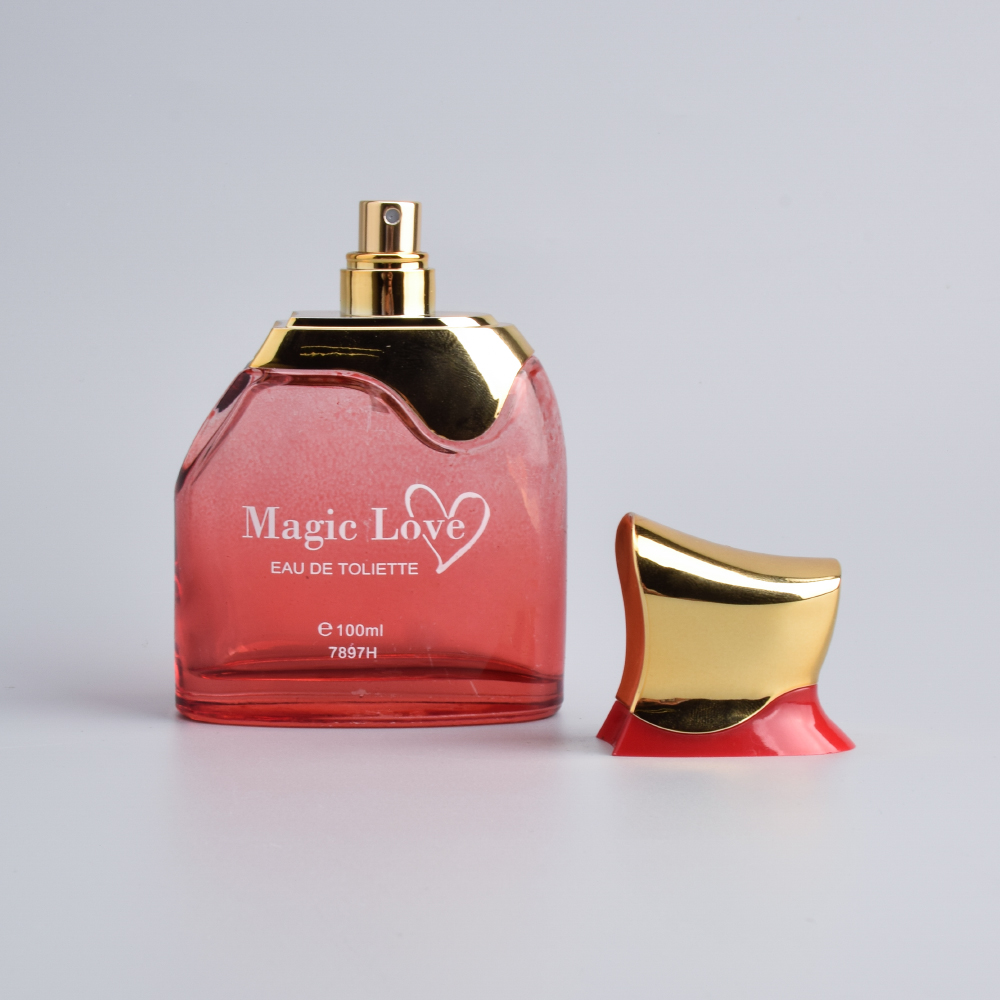 China Perfume Bottle Sample Perfume Bottle 100ml Empty Glass Bottle