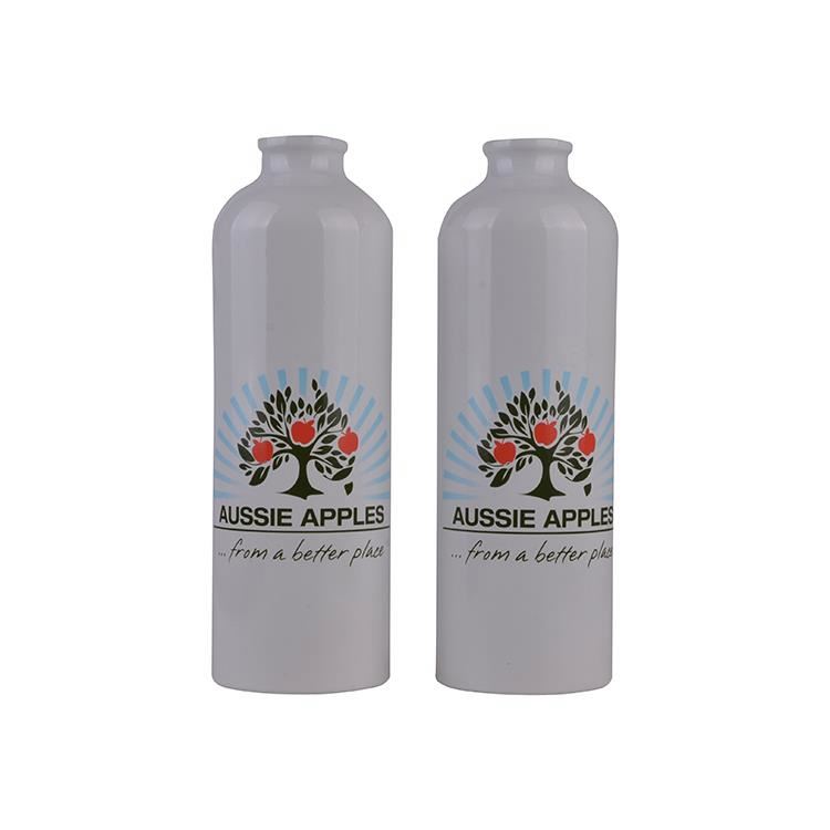 Custom Thin Shampoo Perfume Refill 500 ml 500ml 16oz Aluminum Bottle