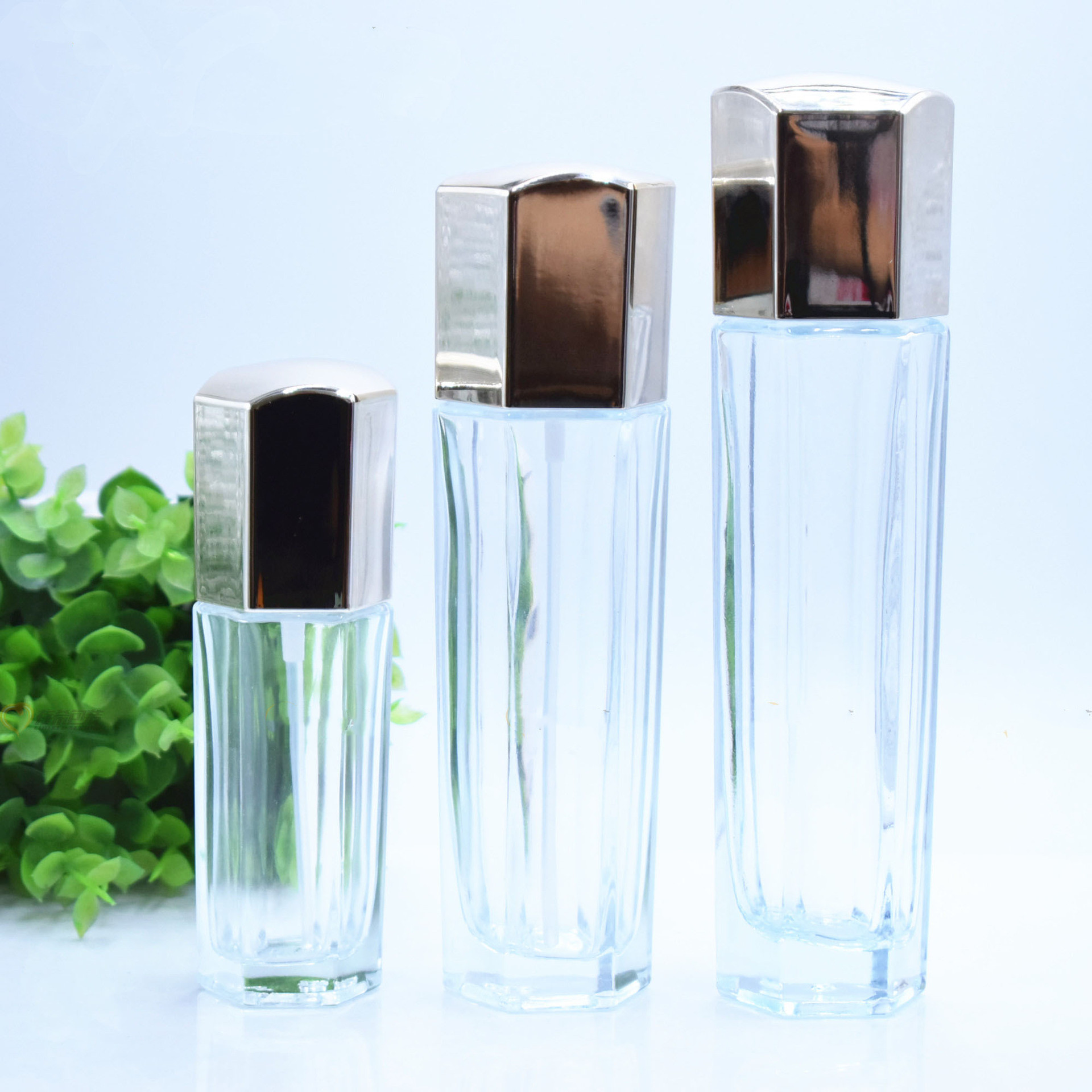 Custom logo 120ml 100ml 40ml 50g 30g transparent clear glass hexagon bottle and jar cosmetic package in good price