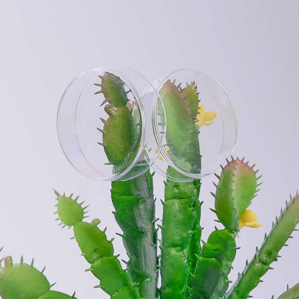 Design Round High Transparence PS Hard Plastic Box Custom Packaging for Jewelry Gift