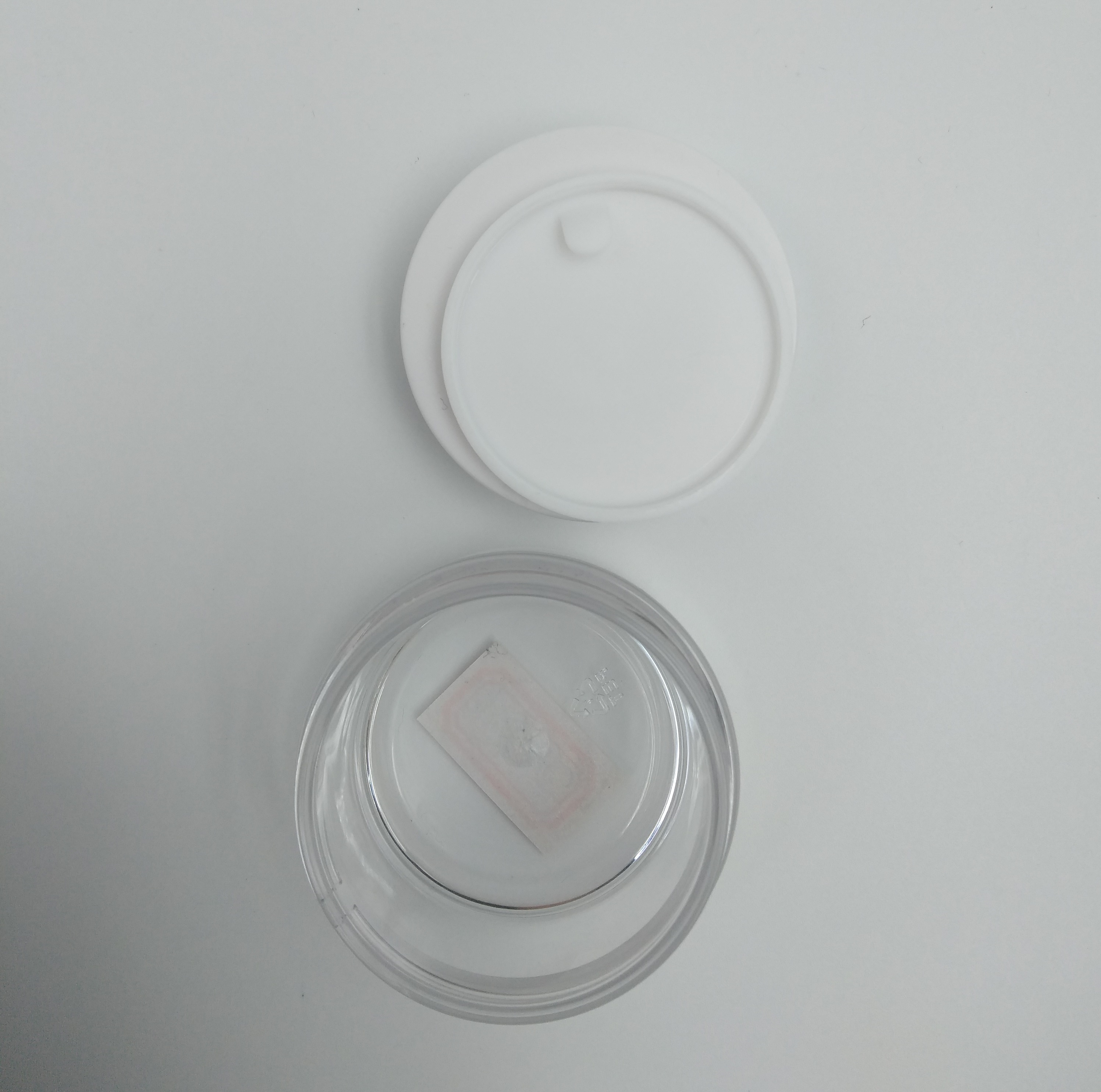 Empty clear cylinder shape 100g skin care cream pet jars for skin care