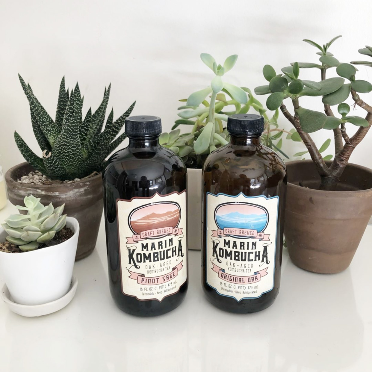 Empty16oz Clear Round Shape Glass Kombucha Beverage Boston Round Glass Bottle