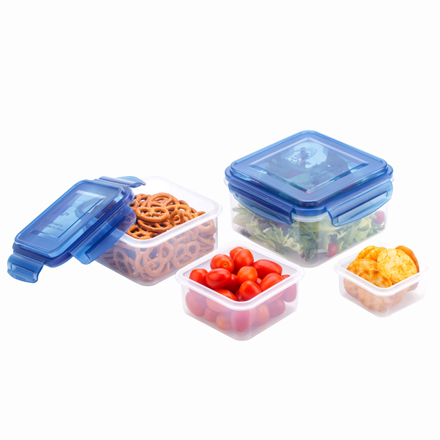 Ezylock Square Plastic 100% Airtight Silicone BPA FREE Food Container
