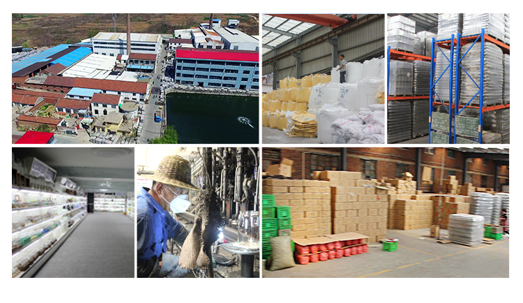 Factory Direct Kitchen Use Swing Clip Top Clear Sealed Glass Storage Beverage Bottles