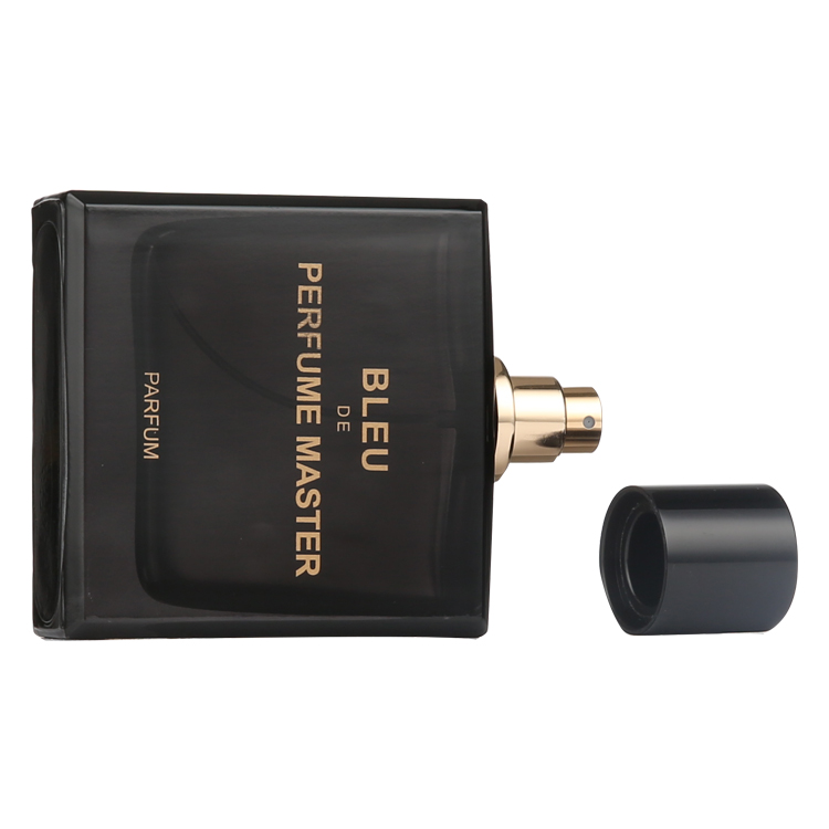 Factory Wholesale Luxury Black 100ml Empty Perfume Glass Bottle with Magnetic Cap