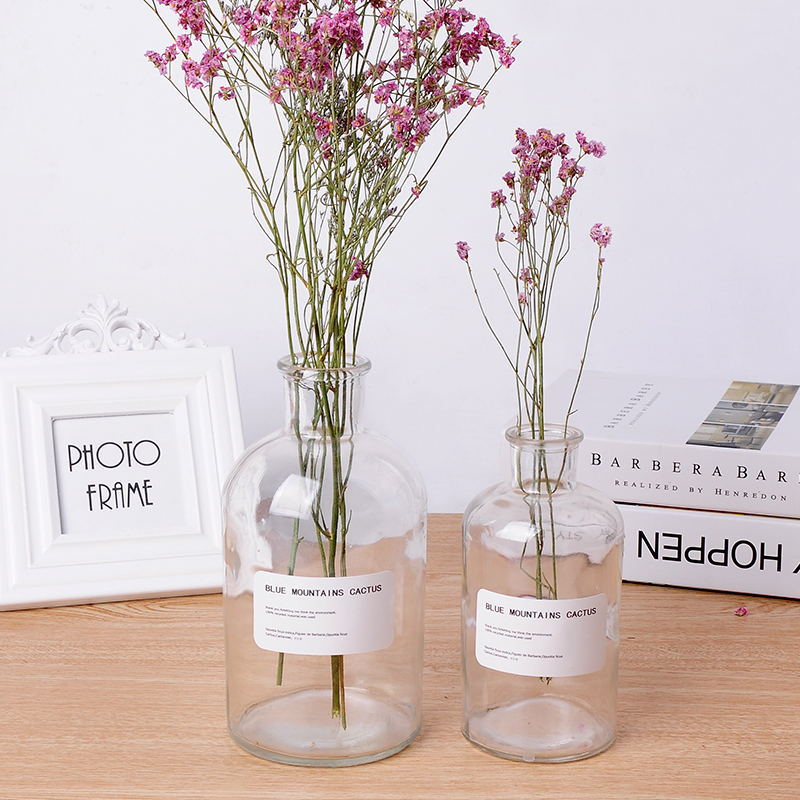 Factory direct sale transparent and brown glass jar decorative aromatherapy bottle