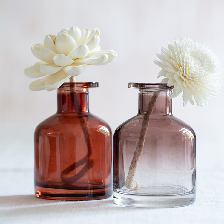 Feel Fragrance Unique Glass Diffuser Bottles DIY Replacement Reed