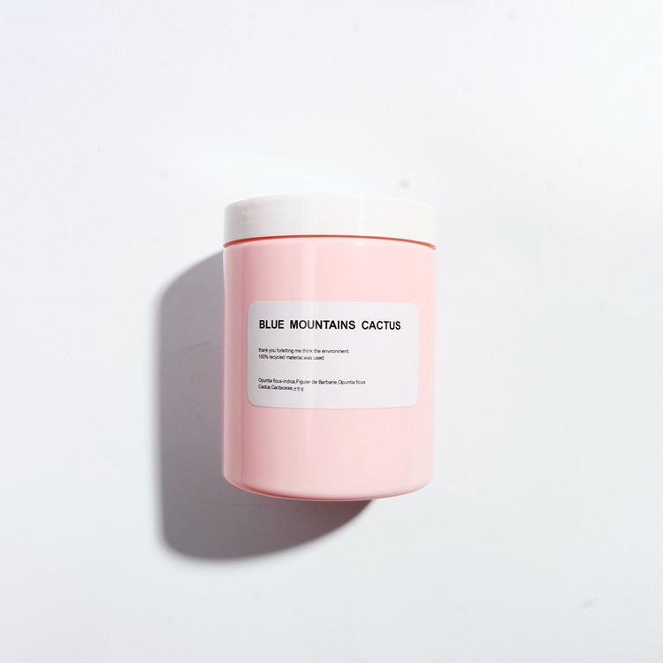 Free Shipping 10g 20g 30g 50g 100g Colorful Face Cream Jars Pot Travel Plastic Empty Cute Cosmetic Sample Containers