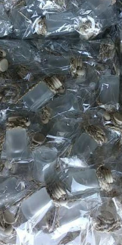 High Quality 10ml Square Shape Hanging Diffuser Empty Perfume with Glass Frosted Bottles