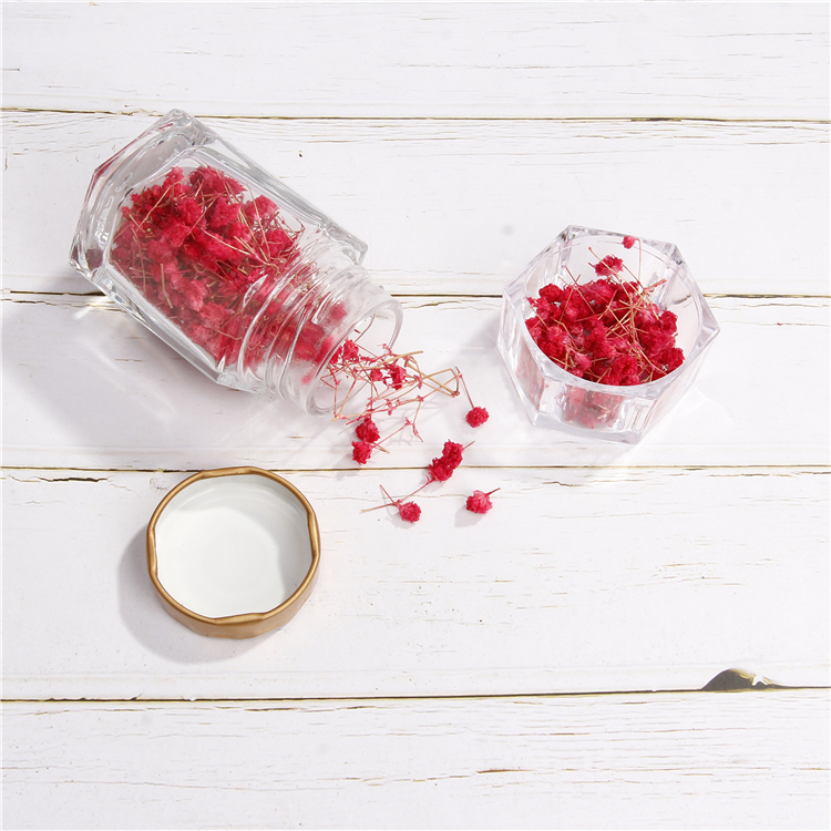 High end Nordic Minimalist Kitchen Sealed Glass Storage Jar dried flower Container With golden Lid