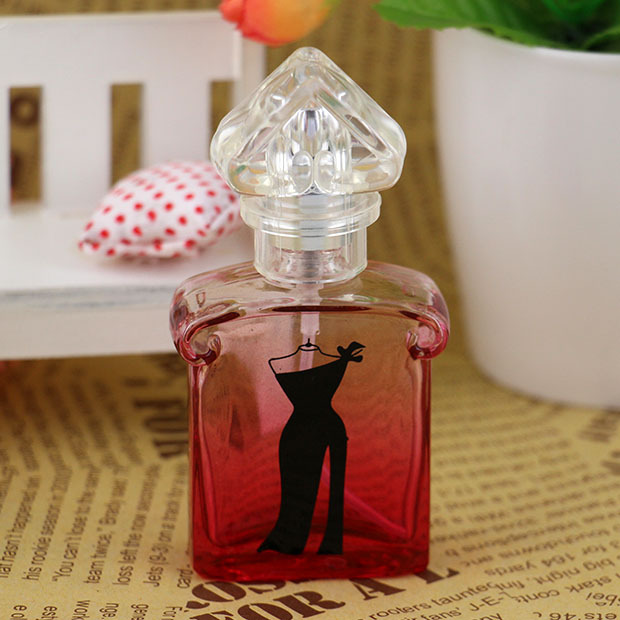 High quality women pocket spray glass perfume 20ml