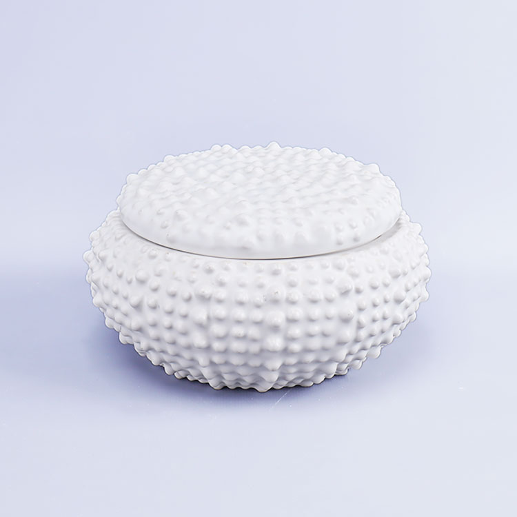 Home Accents Tabletop Room Decor and Holiday Gifts Ceramic Modern Ocean Tank Jars With Lids