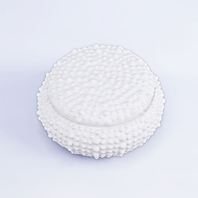 Home Accents Tabletop Room Decor and Holiday Gifts Ceramic Modern Ocean Tank Jars With Lids