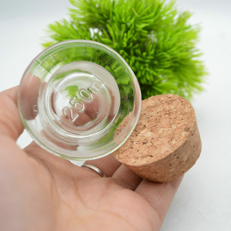 Hot Sale Custom Decorative Aromatherapy Clear Reed Diffuser Glass Bottle with cork