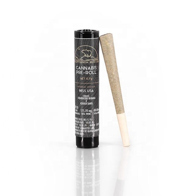 Hot sale 22*116mm Child Resistant Top  Cone Joint Pre Roll Glass Doob Tube with Child Resistant Cap for packaging