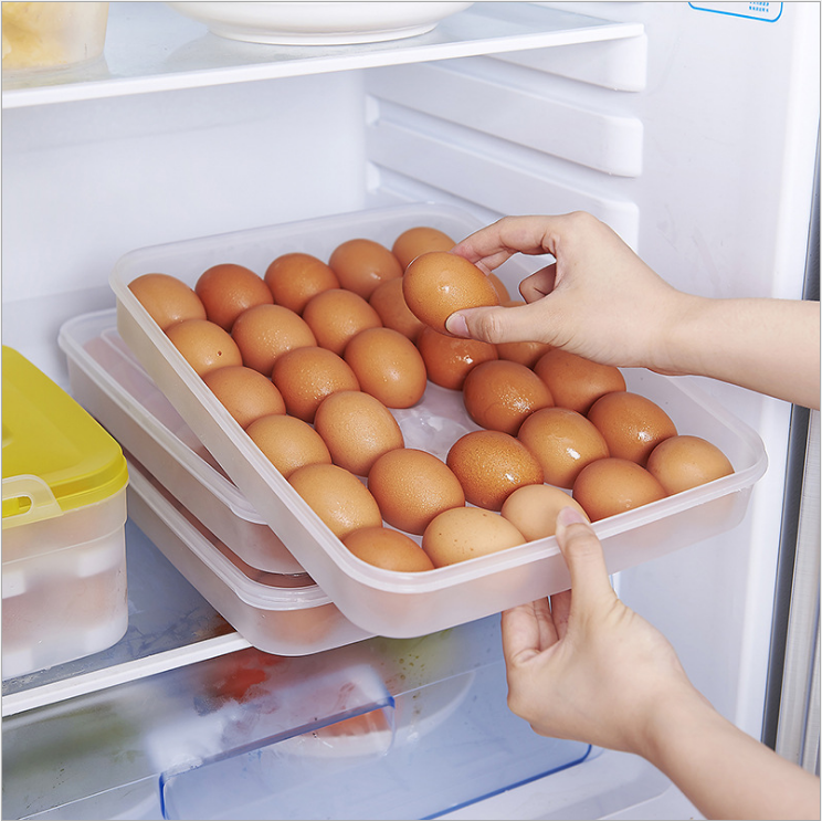 Kitchen refrigerator egg box fresh-keeping box egg holder plastic grid food storage box