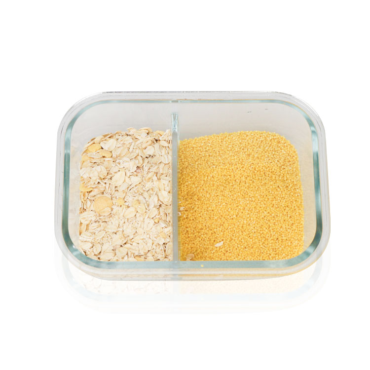 Made in China 640ml Professional 2 Compartment Rectangle Glass Vacuum Food Storage Lunch Box