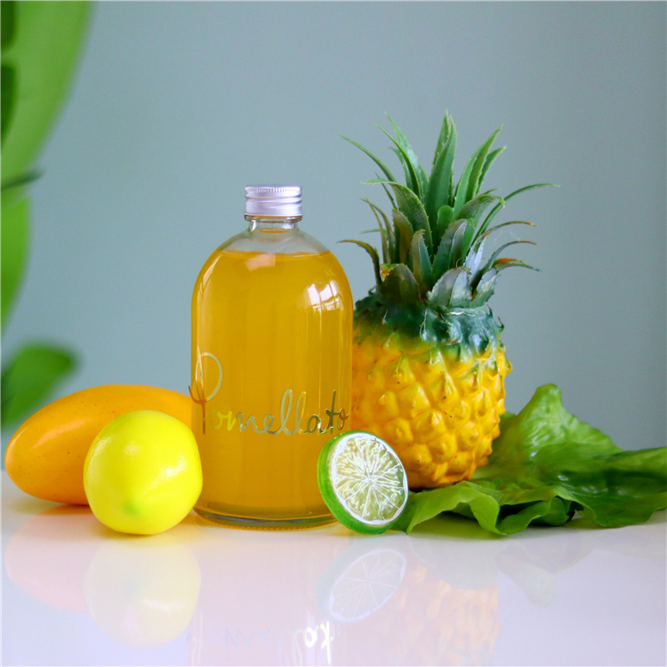 Manufacturer Supply 200ml 350ml Frosted Storage Glass Bottles for Juice beverage Kombucha Tea