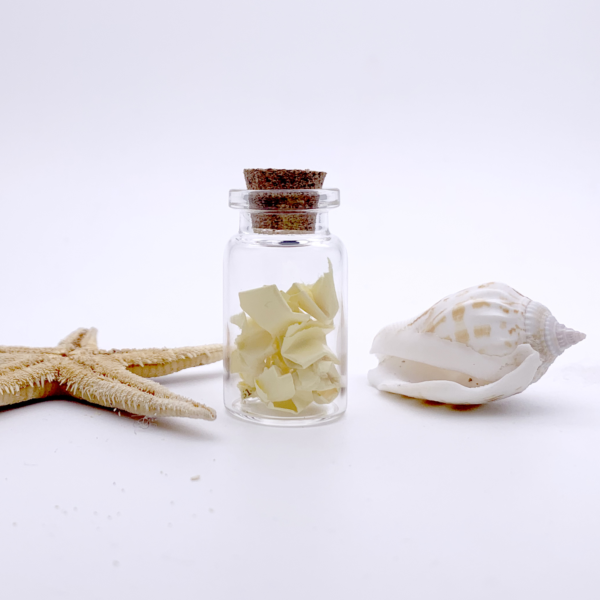 Mini Glass Jars Bottle with Cork DIY Craft Favor