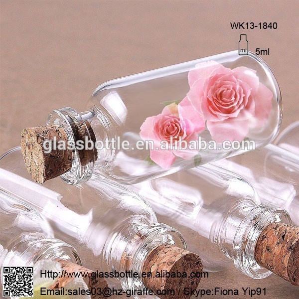 Mini Glass Jars Bottle with Cork DIY Craft Favor