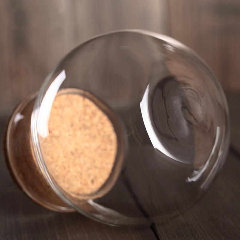 NEW Borosilicate Glass Jar with Cork Lid Big Glass Container 3L Glass Jar