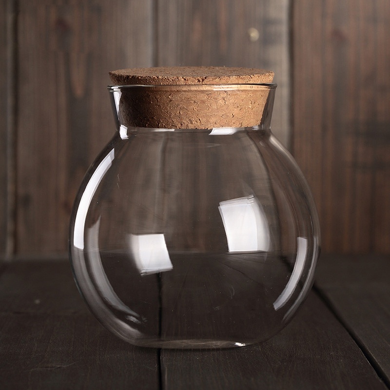 NEW Clear Borosilicate Glass Food Storage Container Big Jars with Bamboo Lid Cork
