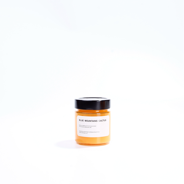 New design 580ml tall round glass jar with deep lug cap for honey food containers wholesale